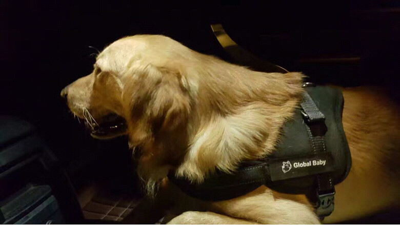 G20���������ǻؼ҆�