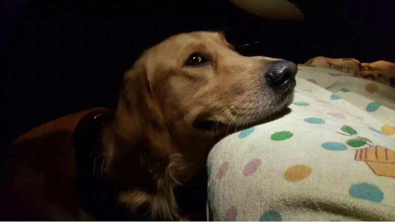 G20���������ǻؼ҆�