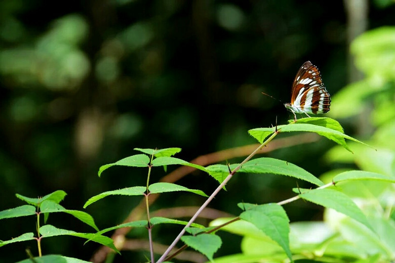 ��������ˬ