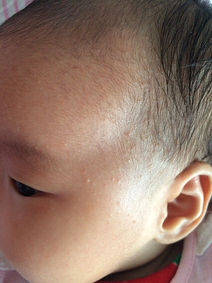 �����ơ��������ϵ���ʲô��