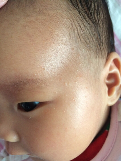 �����ơ��������ϵ���ʲô��