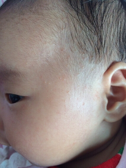 �����ơ��������ϵ���ʲô��