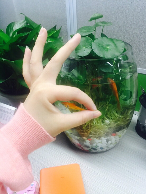 ɹ��ȦȦ���±�