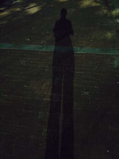 һ��ͼ֤������ҹ�ߡ�