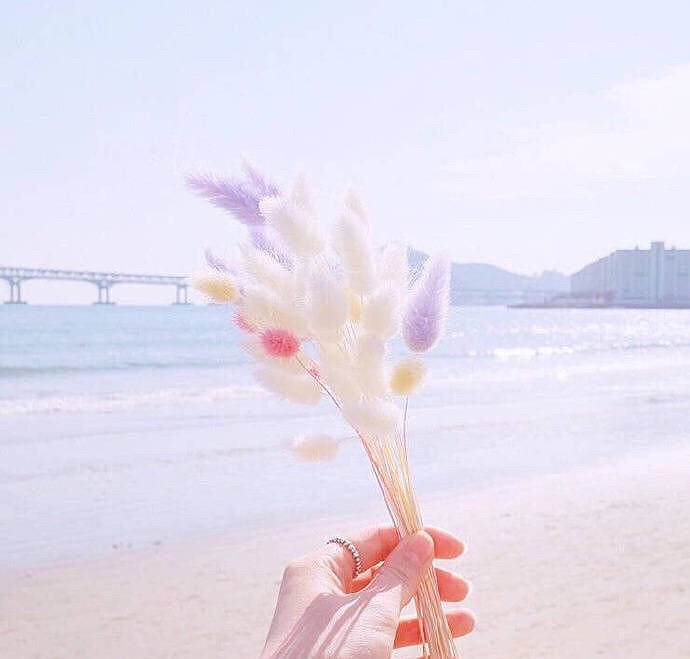 ����Ҫ��ϧ������������˵�� �������� ��