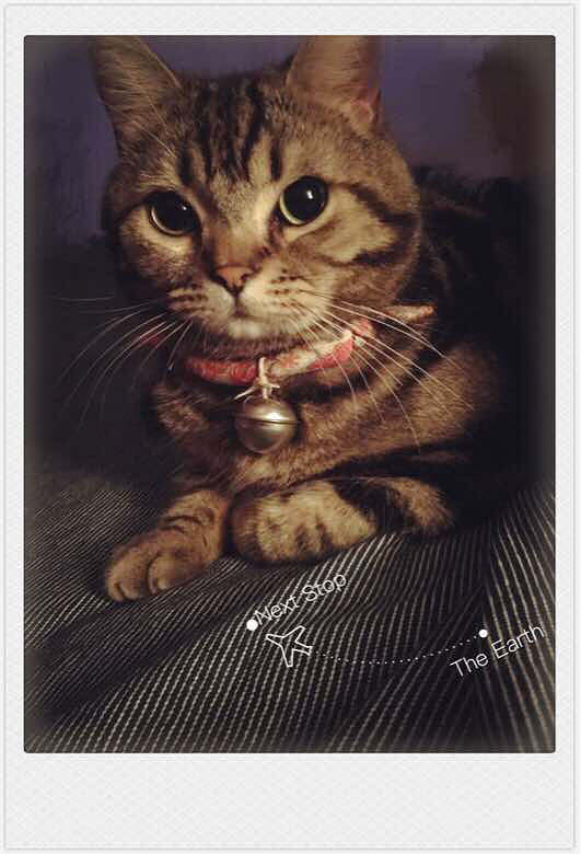 è������ʮ����Ҳ�ǲ��ס���