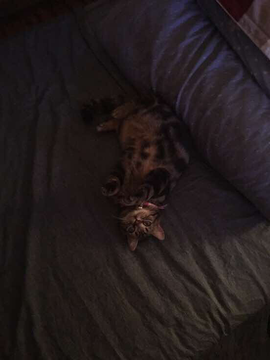 è������ʮ����Ҳ�ǲ��ס���