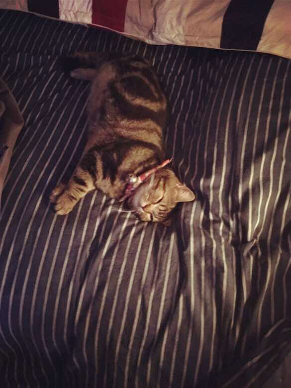 è������ʮ����Ҳ�ǲ��ס���