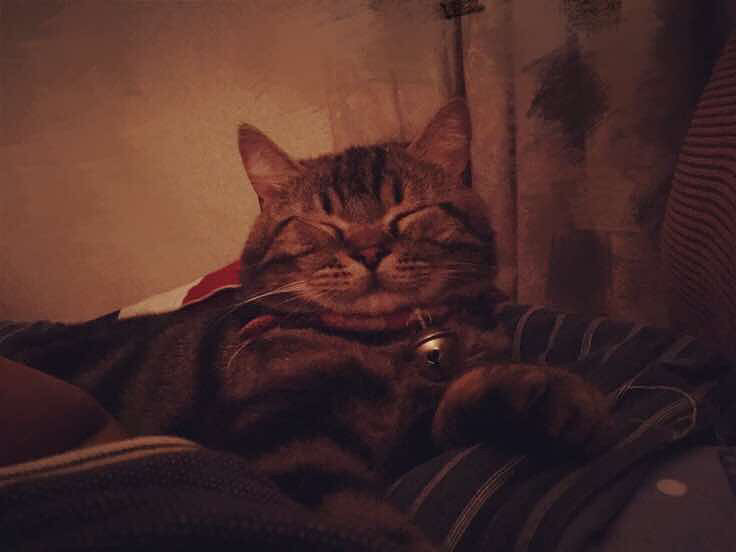 è������ʮ����Ҳ�ǲ��ס���