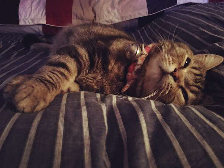 è������ʮ����Ҳ�ǲ��ס���