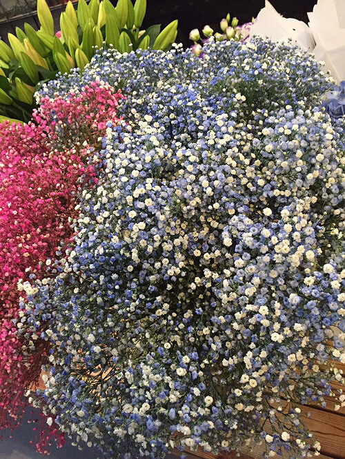 ż��ľ�Ȼ���