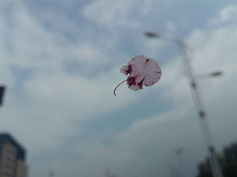 ������Ǿ���