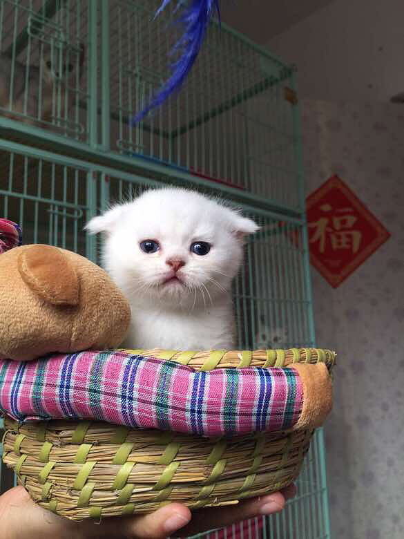 һ���˵����������ЩС�һ����飬Ӧ��