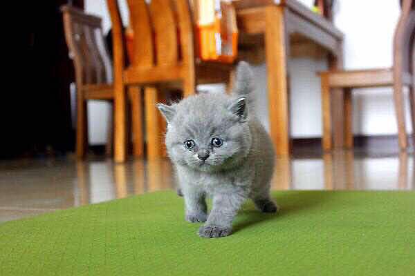 һ���˵����������ЩС�һ����飬Ӧ��