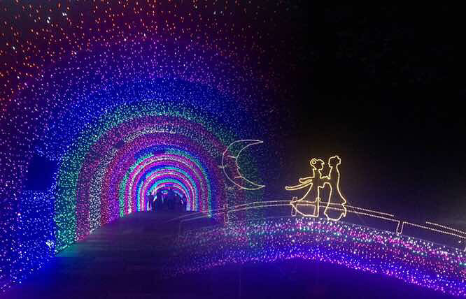 ��������÷����