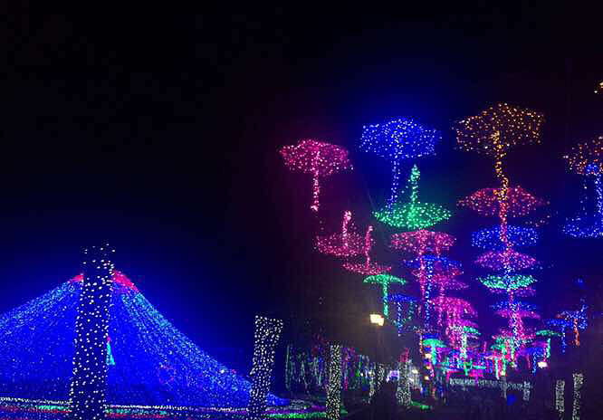 ��������÷����