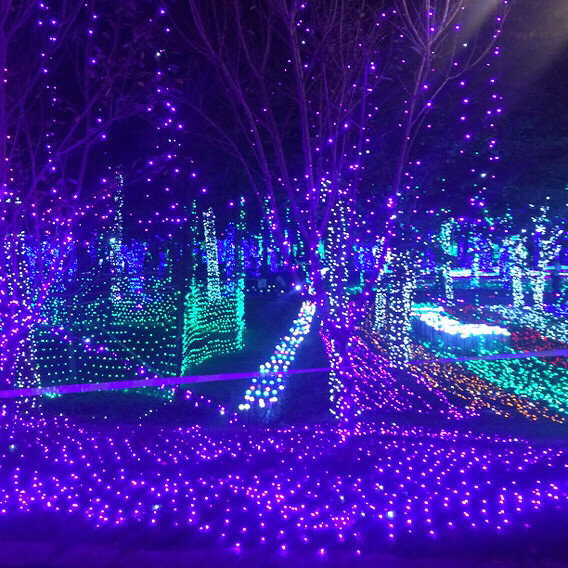 ÷�����λõƹ�ڣ�