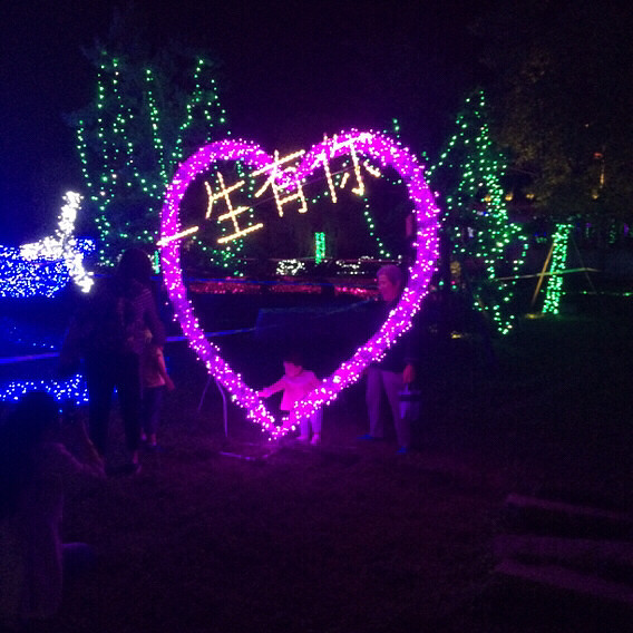 ÷�����λõƹ�ڣ�