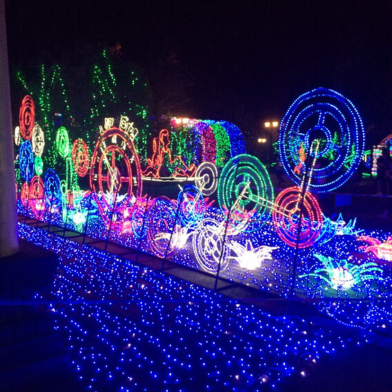 ÷�����λõƹ�ڣ�