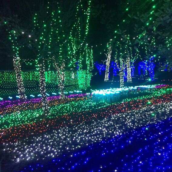 ÷�����λõƹ�ڣ�