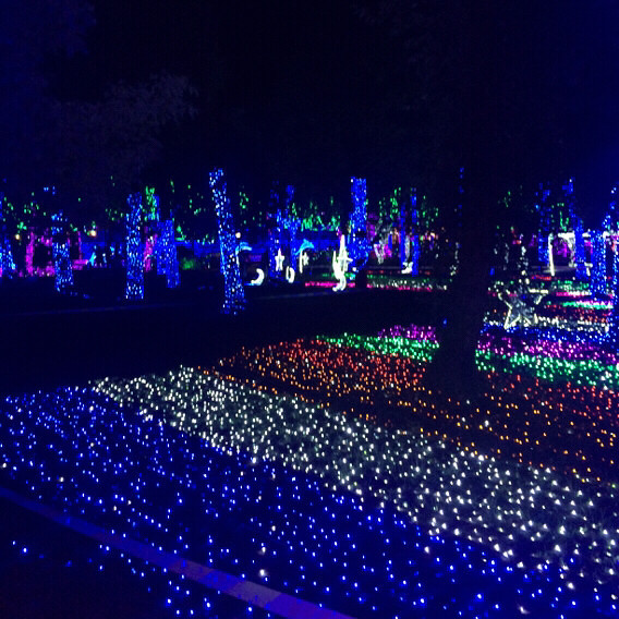 ÷�����λõƹ�ڣ�