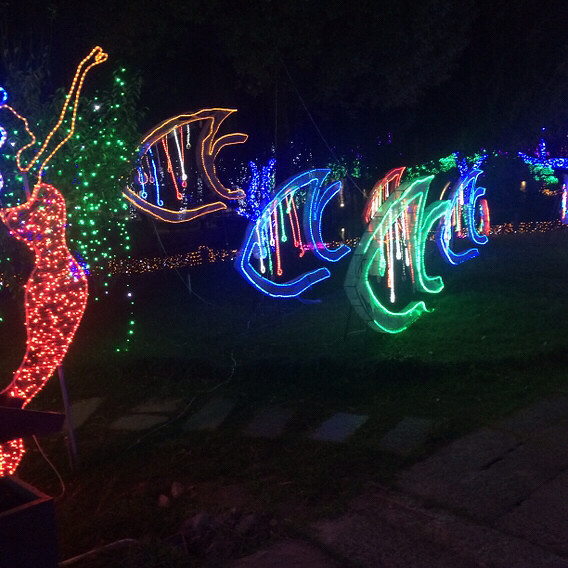 ÷�����λõƹ�ڣ�