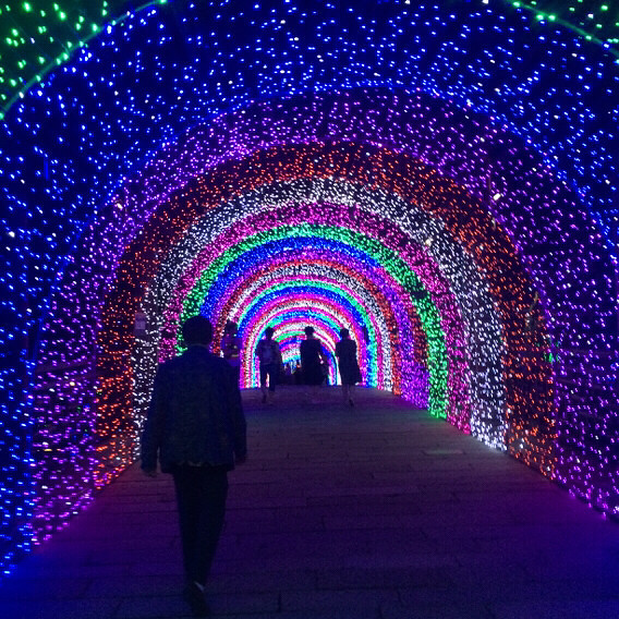 ÷�����λõƹ�ڣ�