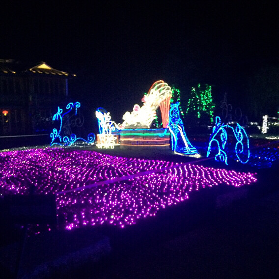 ÷���޵ƹ�ڣ�