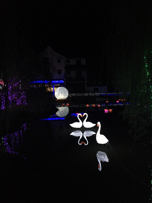 ÷���޵ƹ��