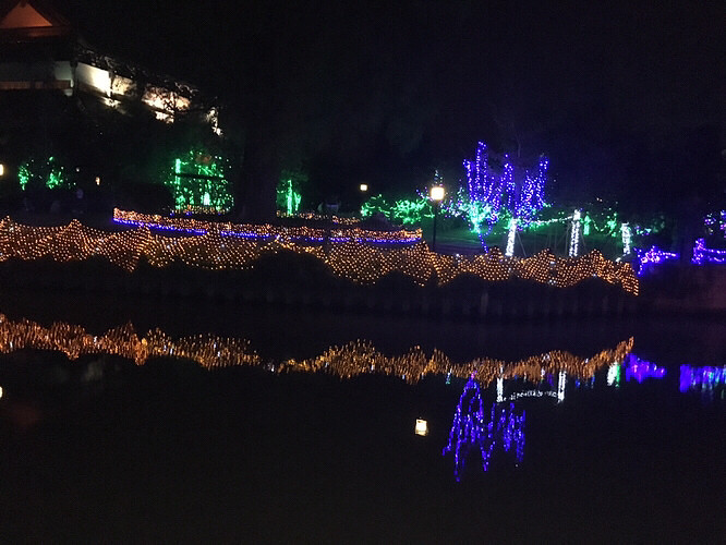 ÷���޵ƹ��