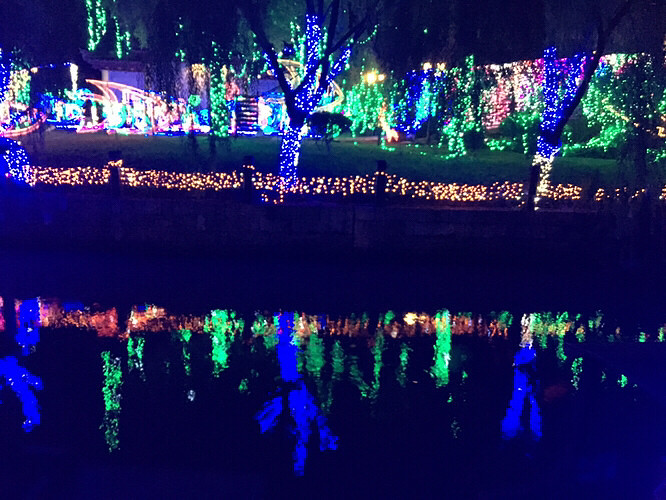 ÷���޵ƹ��