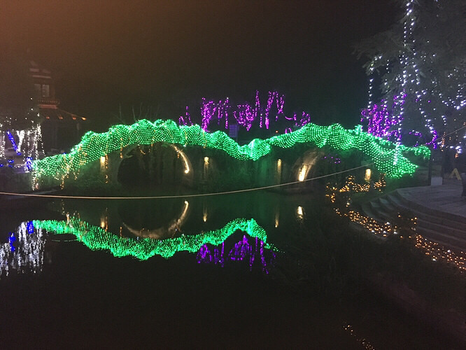 ÷���޵ƹ��