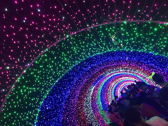 ��������������Ĳ����о�