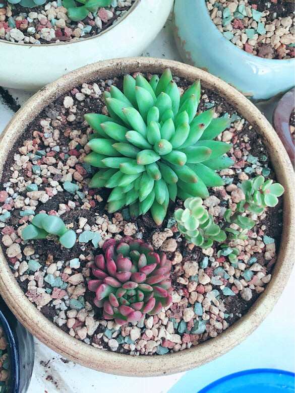 ������㡿+�ҵ�����