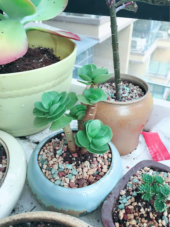 ������㡿+�ҵ�����