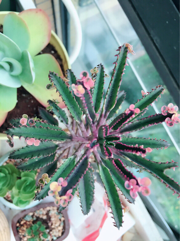 ������㡿+�ҵ�����