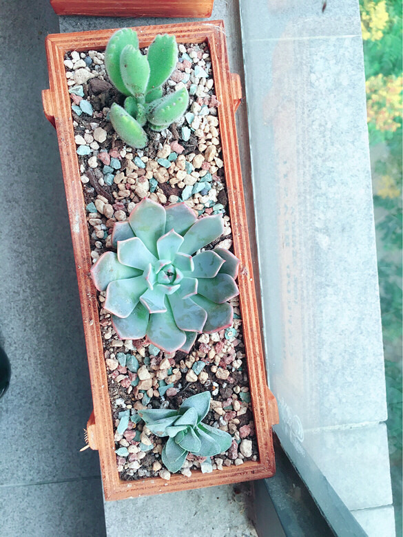 ������㡿+�ҵ�����