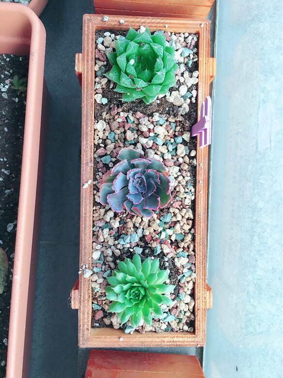 ������㡿+�ҵ�����