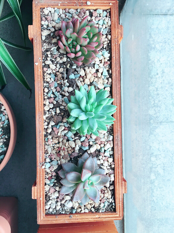 ������㡿+�ҵ�����