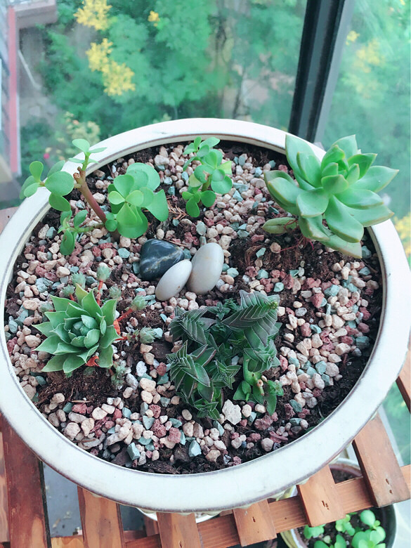 ������㡿+�ҵ�����