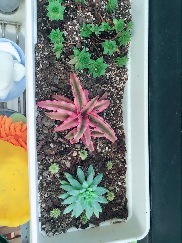 ������㡿+�ҵ�����