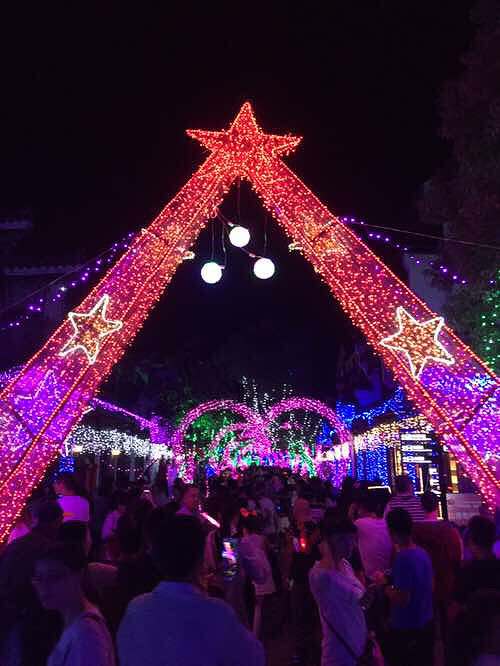 �˴��ڣ�÷���޵ĵƹ�������Ĳ��񻰣�����