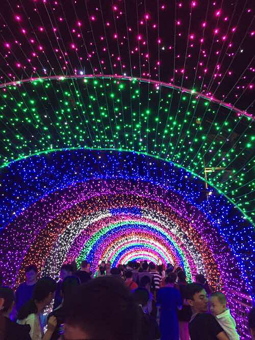 �˴��ڣ�÷���޵ĵƹ�������Ĳ��񻰣�����