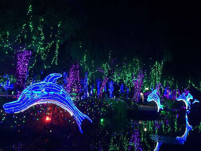 �˴��ڣ�÷���޵ĵƹ�������Ĳ��񻰣�����