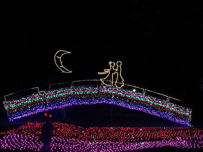 �˴��ڣ�÷���޵ĵƹ�������Ĳ��񻰣�����