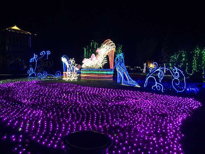 �˴��ڣ�÷���޵ĵƹ�������Ĳ��񻰣�����