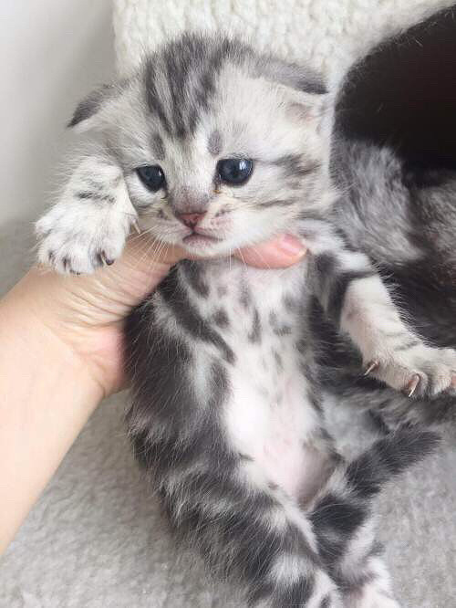 ������ֻ�����������������ݣ����ݵĿͻ���