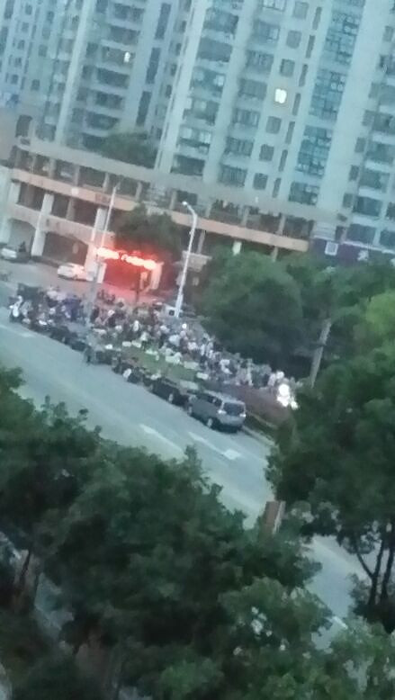 ¶������ÿ�쳳�Ĳ�����