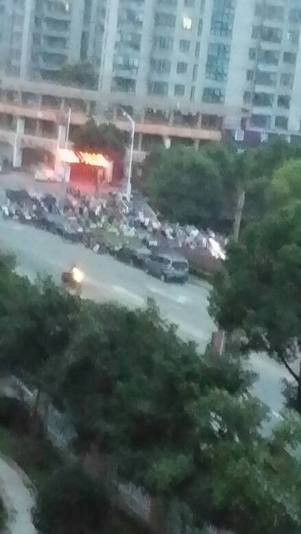 ¶������ÿ�쳳�Ĳ�����