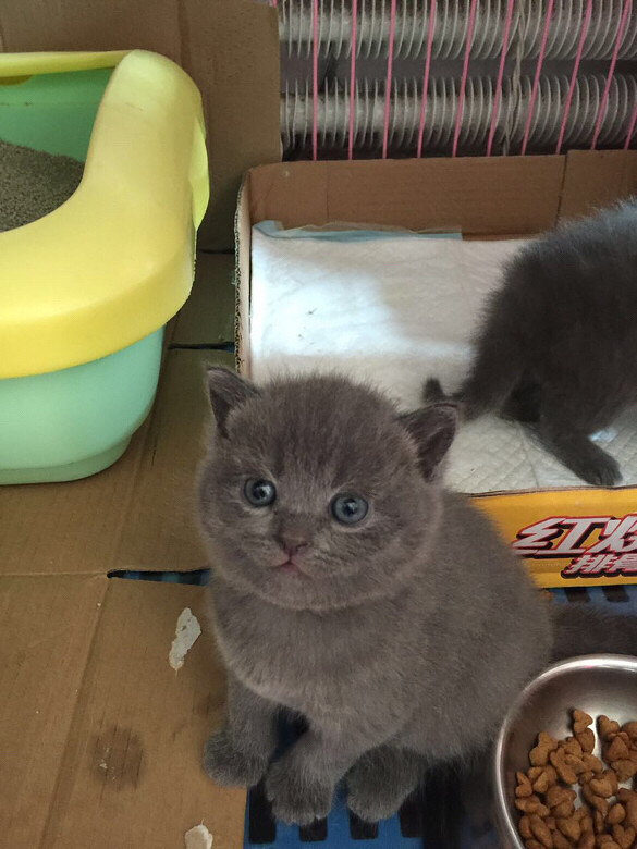 ����ǣ���һ������£�С�һ�����Լ���